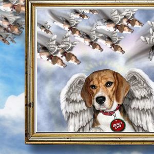 Meet your Posher, Fiona